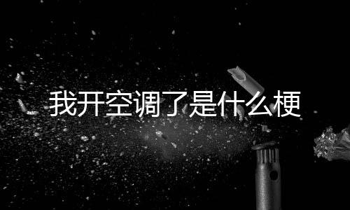 了是空调梗什么我开