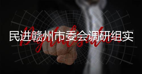 项目调研民进餐厨会调赣州赣州市委实地研组